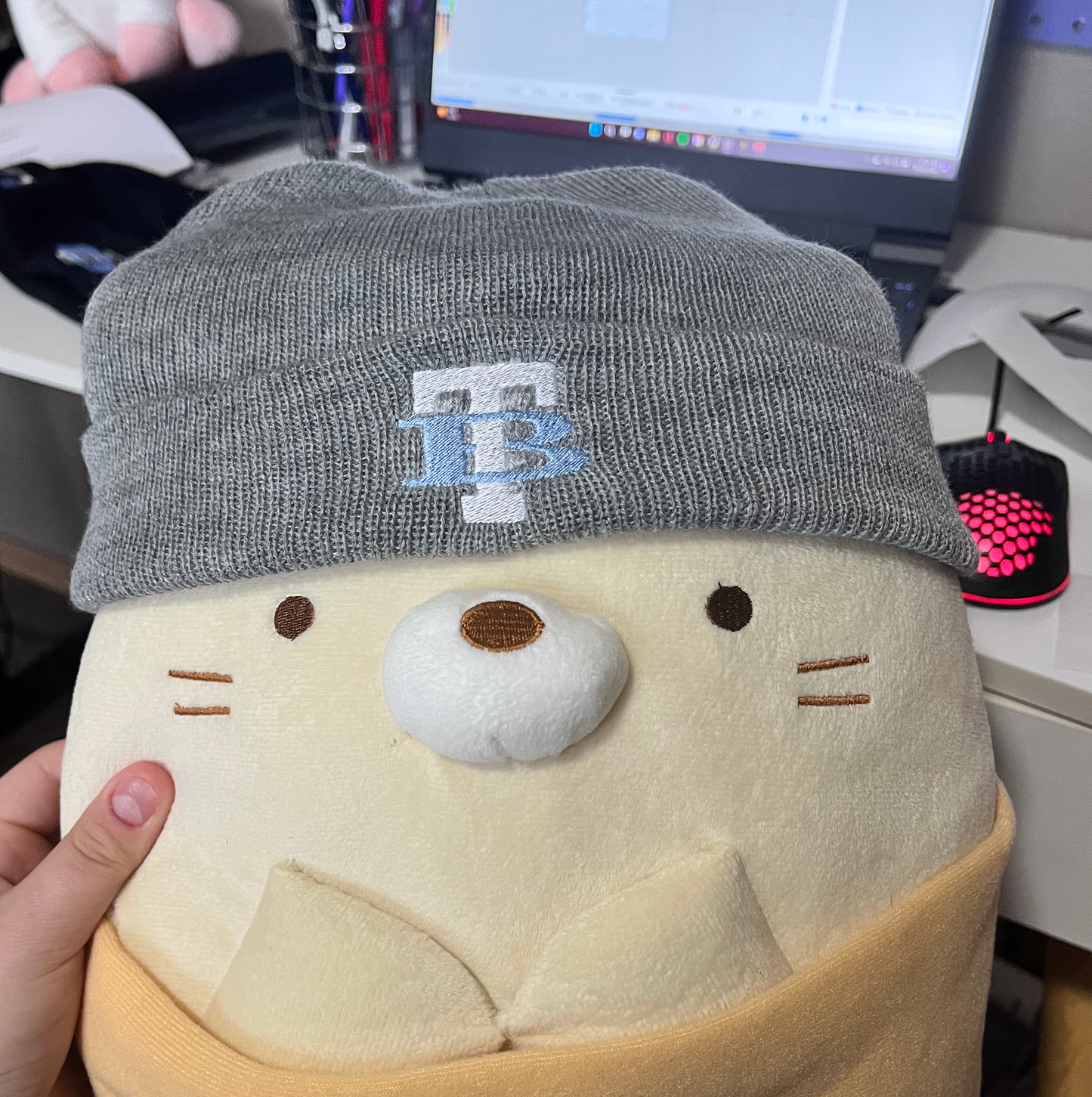 Embroidered Beanies