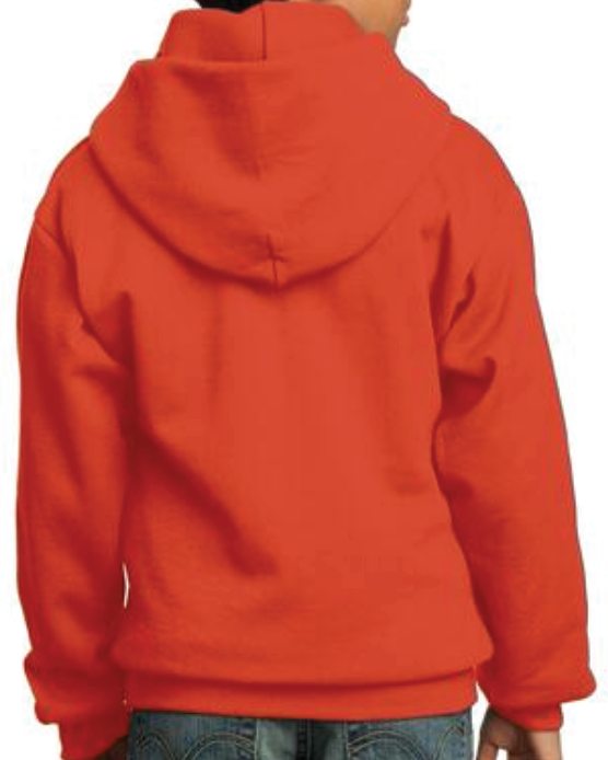 Electric Tigers YOUTH HTV Pullover Hoodie