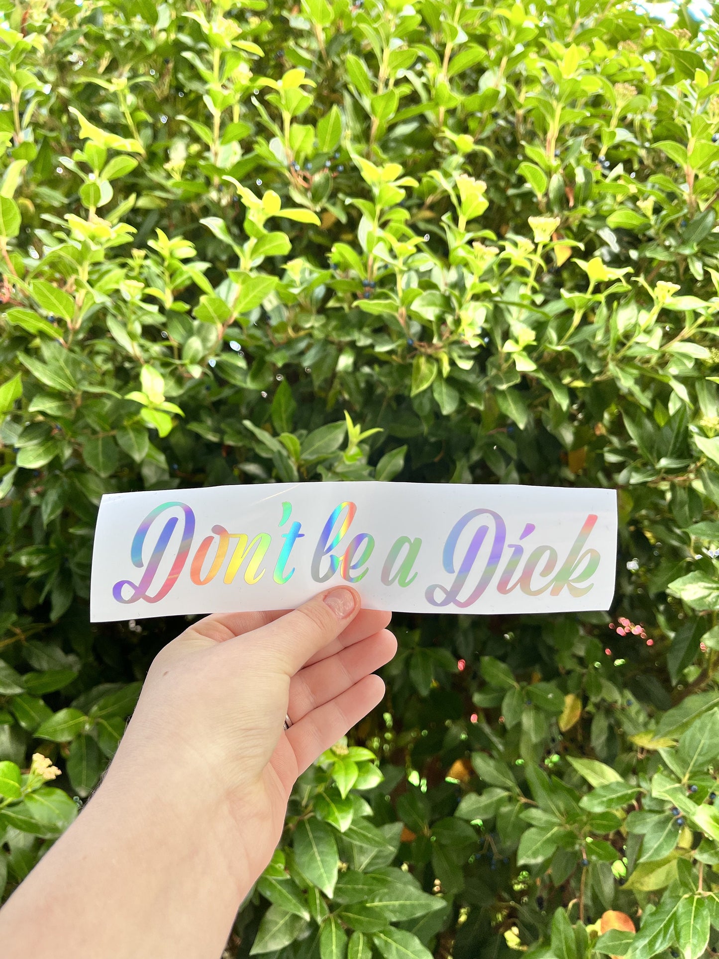 Don't be a D*ck Holographic Vinyl Decal | Car Bumper Sticker | Custom Vinyl Car Decal