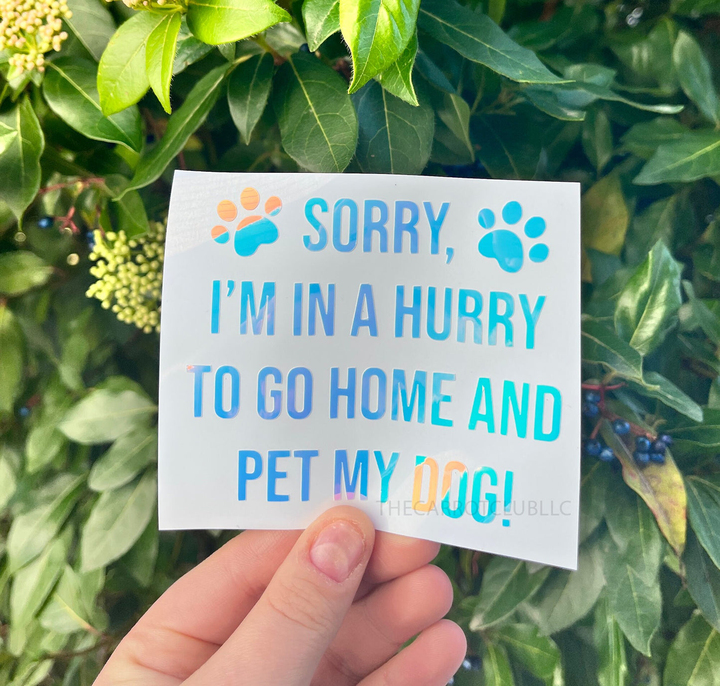 Sorry I'm In A Hurry To Go Home And Pet My Dog Holographic Vinyl Decal 4, 5, 6 inch | Car Bumper Sticker | Window Decal for Dog Mom