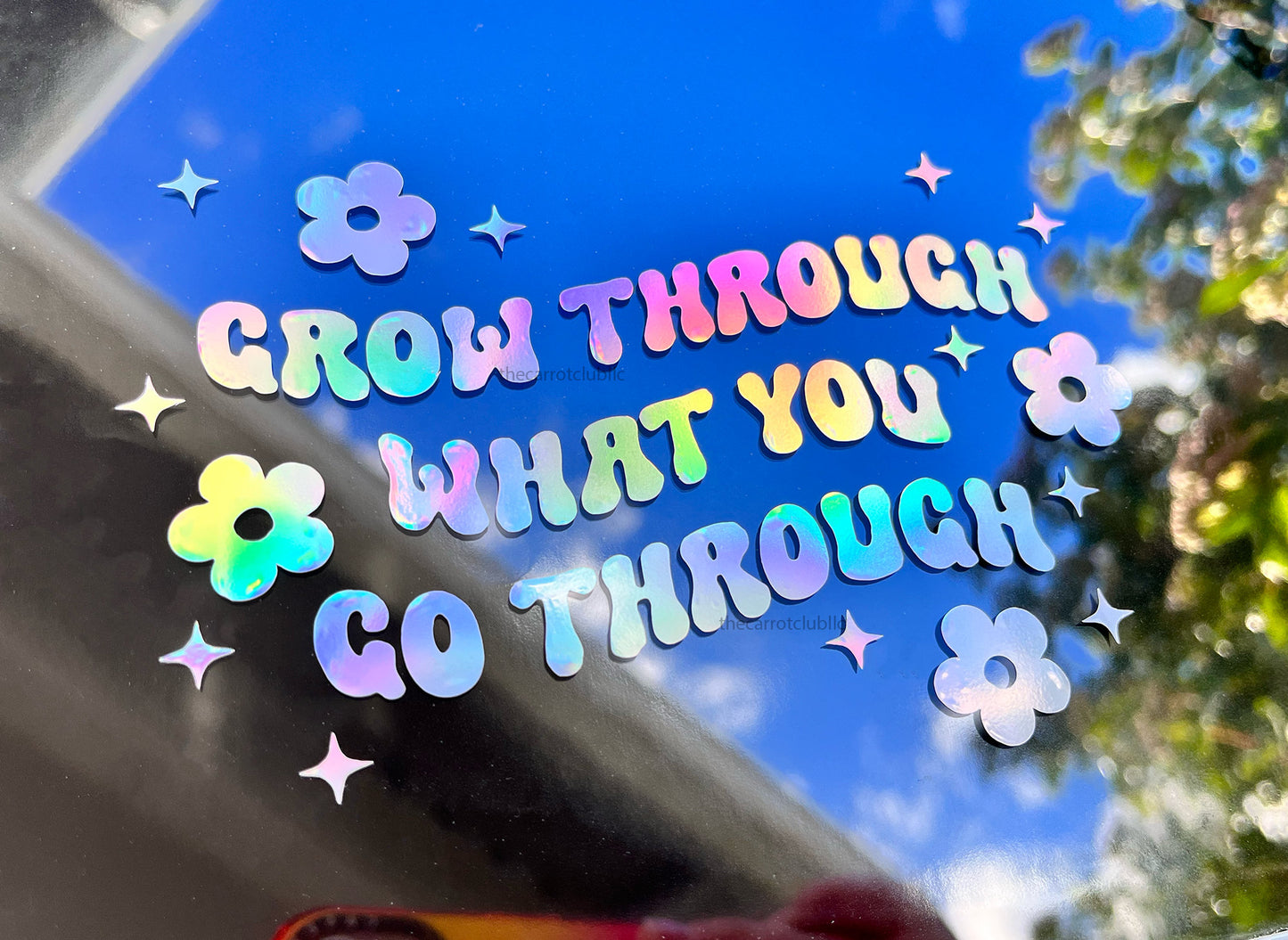 Grow Through What You Go Through 5.5 and 4.5 inch Holographic Vinyl Car Decal | Mental Health Summer Bumper Sticker | Personalized Decal